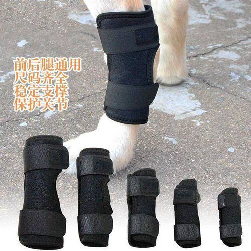 宠物猫狗后腿宠物猫狗后腿