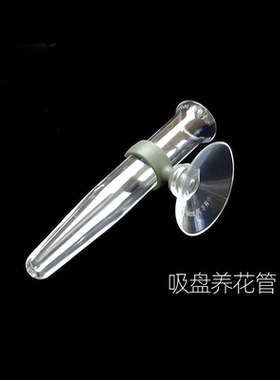 吸盘养花管储水管吸扣营养管插花玻璃门花店墙上装饰花鲜花店用品