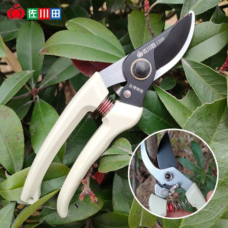 新款果树修枝剪剪枝剪园艺修花整枝剪多功能省力修剪粗枝树枝剪刀,搬运/仓储/物流设备,机械式停车设备（立体停车库）,淘宝优惠券,粉丝福利购,淘宝优惠卷