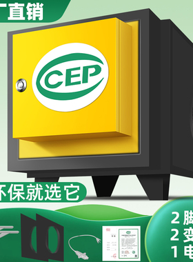 风量环保油烟净化器饭店餐饮小型静电分离过滤厨房商用酒店一体机