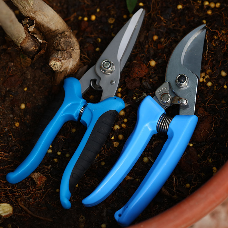 修剪花艺剪刀花修枝花家用盆景园艺鲜花插花剪多功能花草剪子工具,搬运/仓储/物流设备,机械式停车设备（立体停车库）,淘宝优惠券,粉丝福利购,淘宝优惠卷