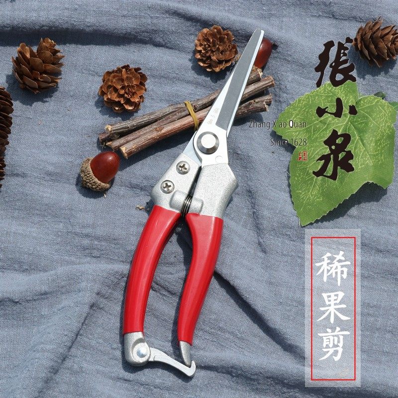 张小泉花剪 园艺剪刀修枝剪摘果器葡萄剪刀花椒剪采果剪稀果剪子,搬运/仓储/物流设备,机械式停车设备（立体停车库）,淘宝优惠券,粉丝福利购,淘宝优惠卷