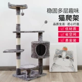 Кошачья стойка