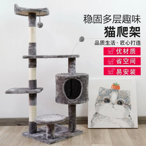 Кошачья стойка