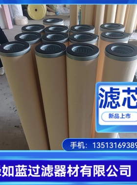 100LGF-90/10K 11CC02-100X600聚结滤芯