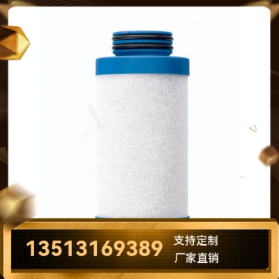 WALKER沃克厂家直销新品上市 E30621XA E30621X1过滤器更换滤芯