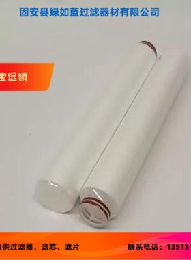PALL颇尔厂家直销ME3310CPN20H液体滤芯