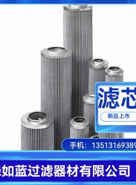 Rexroth力士乐厂家直销R928041313  1.2000 H20XL-A00-0-M滤芯