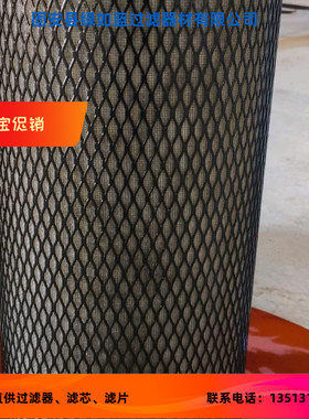 Solberg CEG474/2真空泵煤质过滤器滤芯