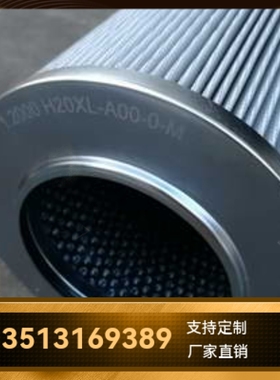 Rexroth力士乐厂家直销R928041235 1.2000 H20XL-A00-0-M液压滤芯