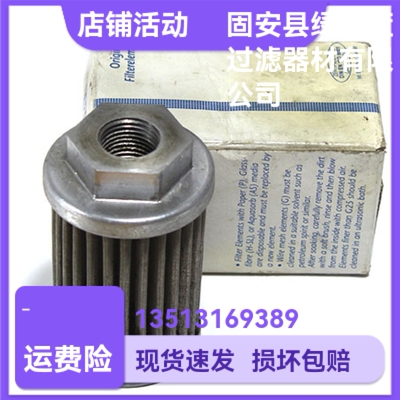 EPE D-68775 Ketsch S28 G300-S00-000-X0000液压油过滤器滤芯