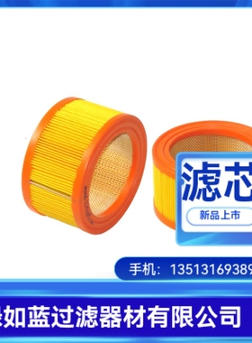 EPE D-68775 Ketsch 7.004 P25-S00-0-0空气过滤器滤芯