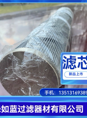 EATON伊顿厂家直销300291 01.E900.25VG.HR.E.P.-25VG滤芯