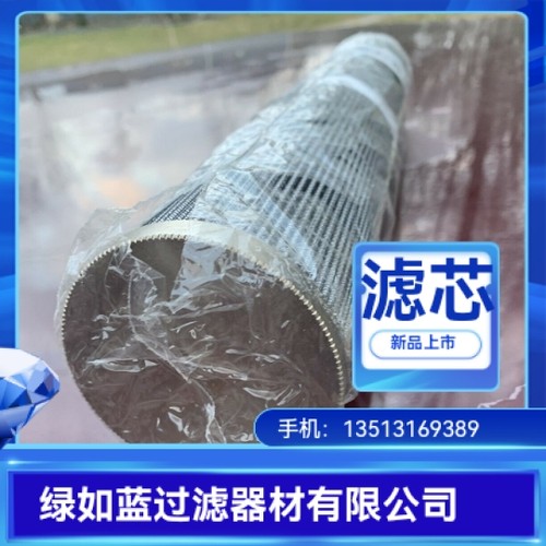 EATON伊顿厂家直销300291 01.E900.25VG.HR.E.P.-25VG滤芯