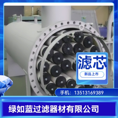 石脑油过滤器 naphtha coalescence separation filter