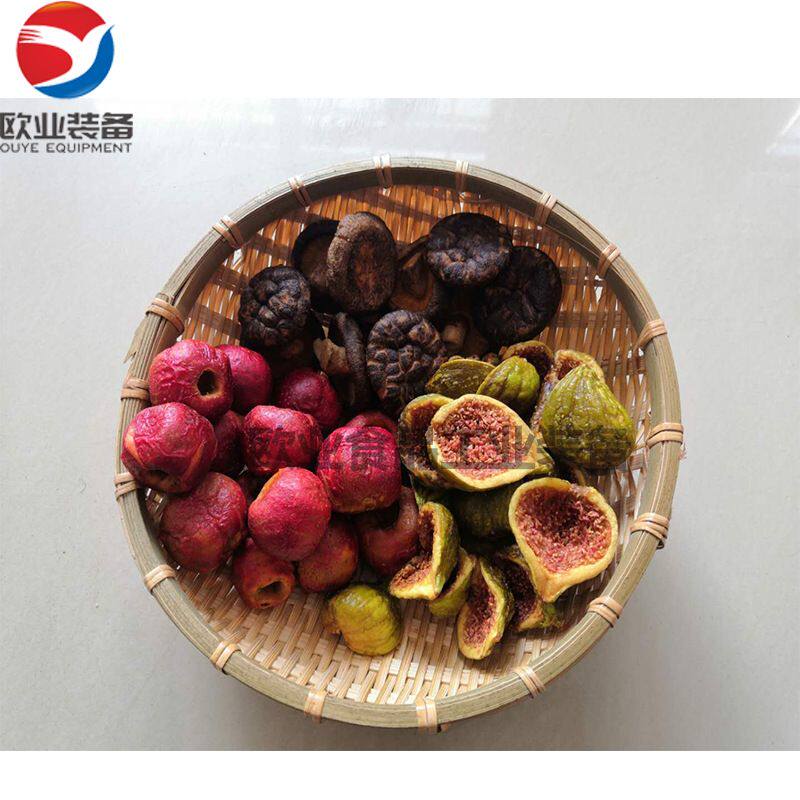 大型全自动真空低温油炸机果蔬脆片脱水脱油机器油炸机直销包邮