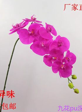 客厅干花手感蝴蝶兰单支