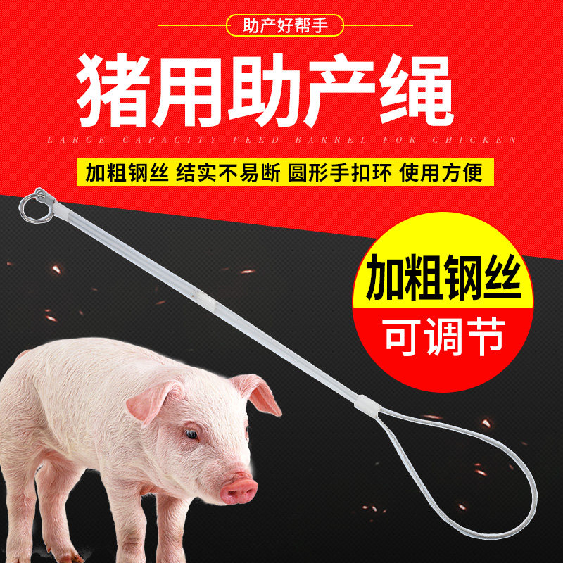母猪助产绳 不锈钢助产绳猪用难产绳 兽用助产器械 难产绳助产套