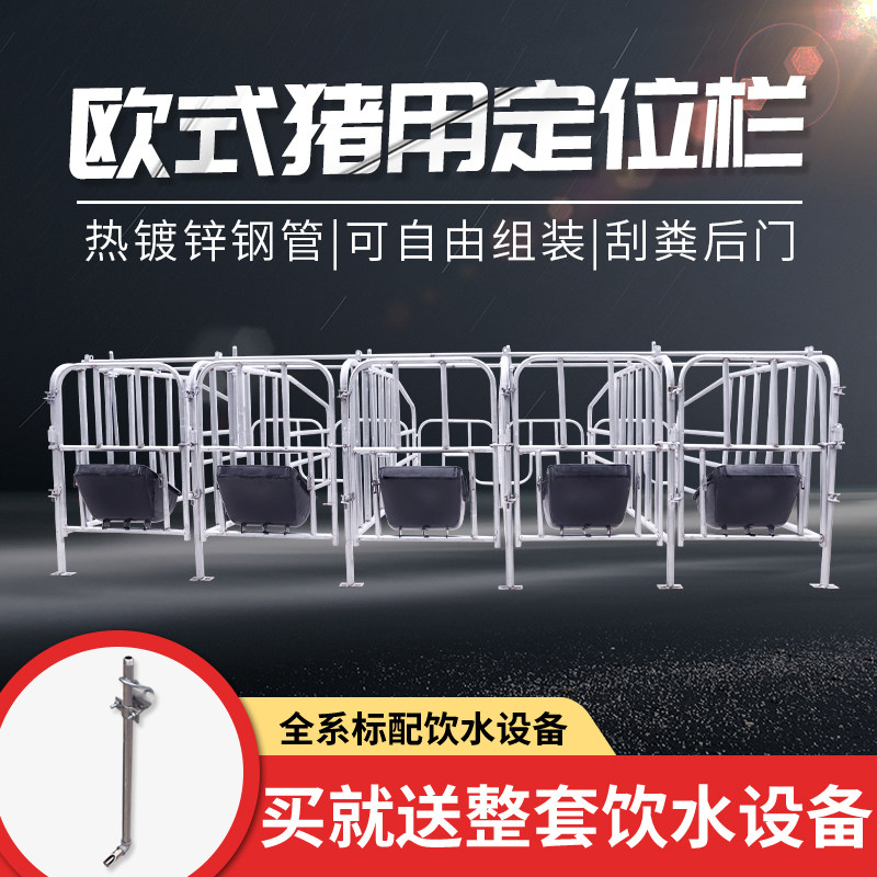 母猪落地式产床 母猪落地式分娩栏 母猪定位栏分娩栏限位猪用单体