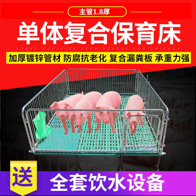 保育仔猪母猪产床仔猪耐尔尼