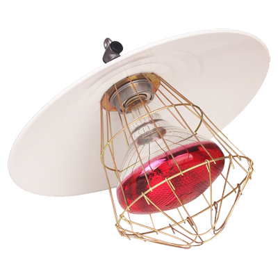 养殖保温灯罩兽用仔猪取暖