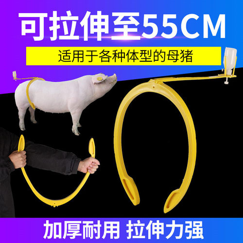 耐尔尼大号猪用自动输精夹圈母猪