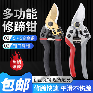羊蹄剪刀修羊蹄子羊用剪羊蹄修蹄剪养羊专用工具修蹄钳用品修蹄刀
