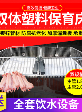 加厚小猪保育床塑料板仔猪保育床围栏仔猪用保育床母猪产床定位栏