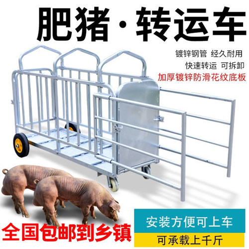 耐尔尼运输笼包邮到镇