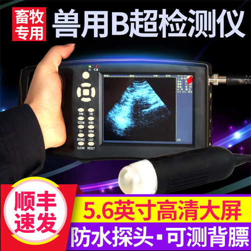 B超机猪用测孕仪畜牧高清便携