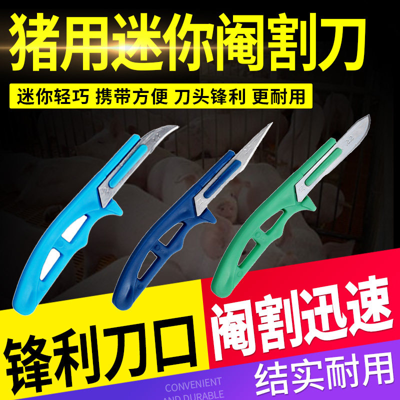 迷你阉猪刀 阉割刀小手术刀 猪用阉割去势刀 迷你兽用阉割刀3把装,宠物/宠物食品及用品,家养大动物器械,淘宝优惠券,粉丝福利购,淘宝优惠卷