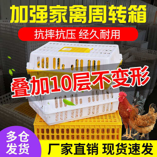 周转箱鸡鸭鹅加厚塑料家禽运输笼