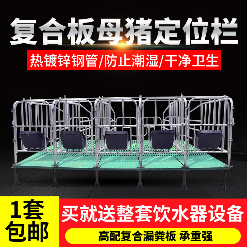 猪用漏粪板复合板母猪产床定位栏