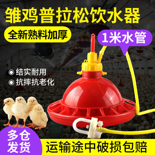 养鸡设备用品雏鸡自动喂鸡饮水器