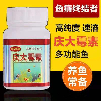 庆大霉素黄粉鱼用锦鲤烂身