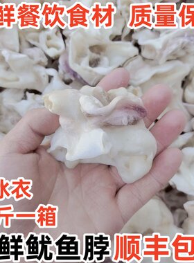 冷冻鱿鱼脖鱿鱼脆骨餐饮食材包邮