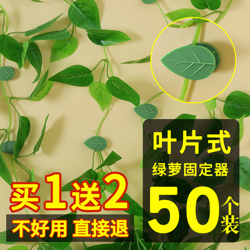 綠蘿固定爬墻神器免打孔