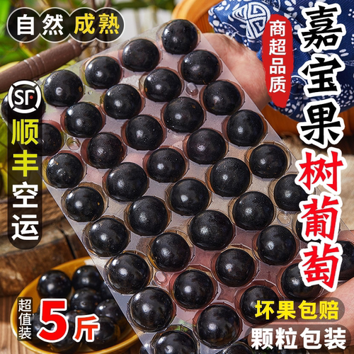 嘉宝果+树葡萄+新鲜孕妇现摘水果