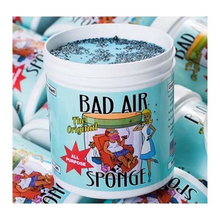 现货 白宫御用空气净化剂除甲醛清新剂室内汽车除臭 Bad Air