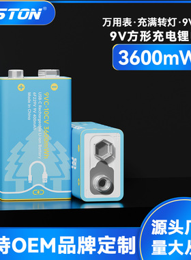 beston佰仕通 9V恒压万用表type-c方形1000mah吉他USB充电电池