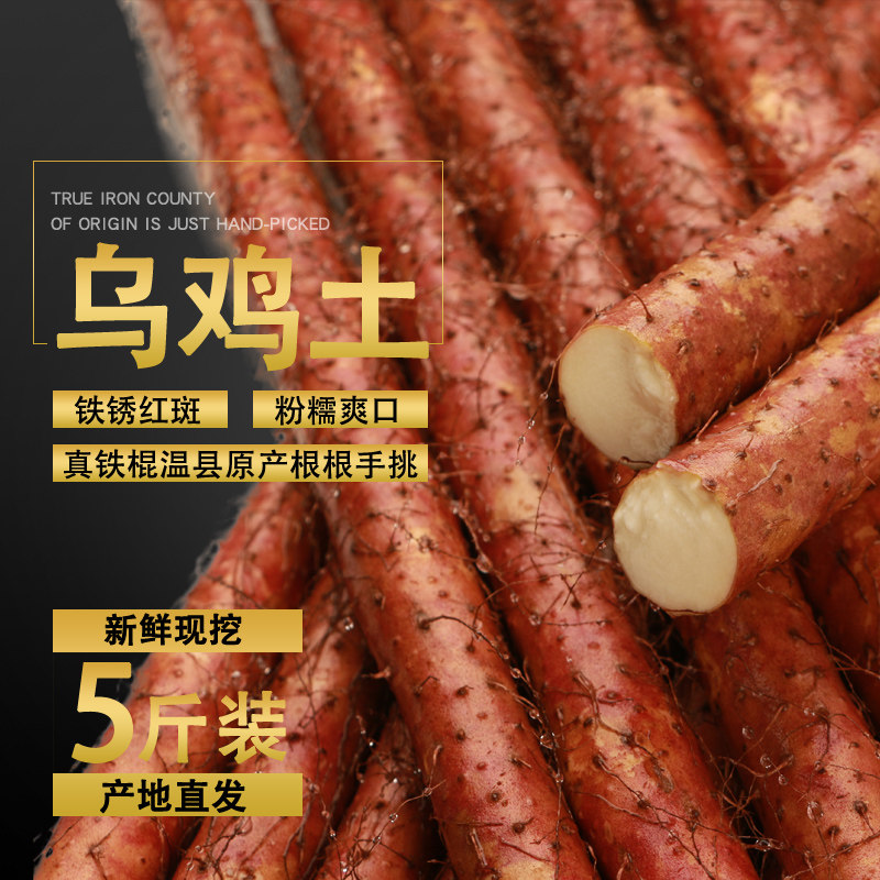 温县官方旗舰铁棍山药新鲜密铁锈河南焦作正宗紫怀淮山铁杆