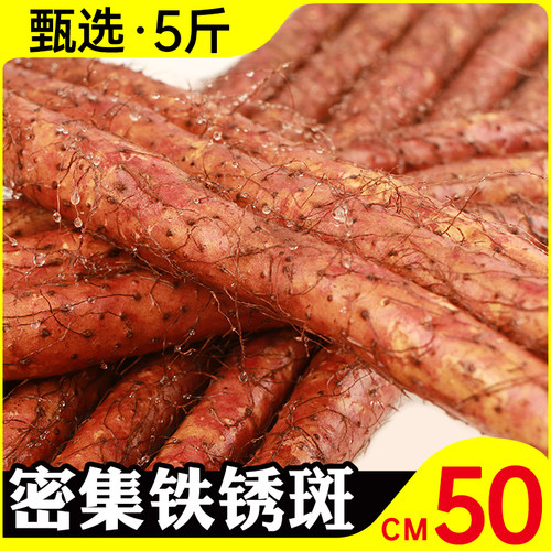 新疆包邮县旗舰铁棍山药新鲜5斤密铁锈河南焦作温店紫怀淮山铁杆