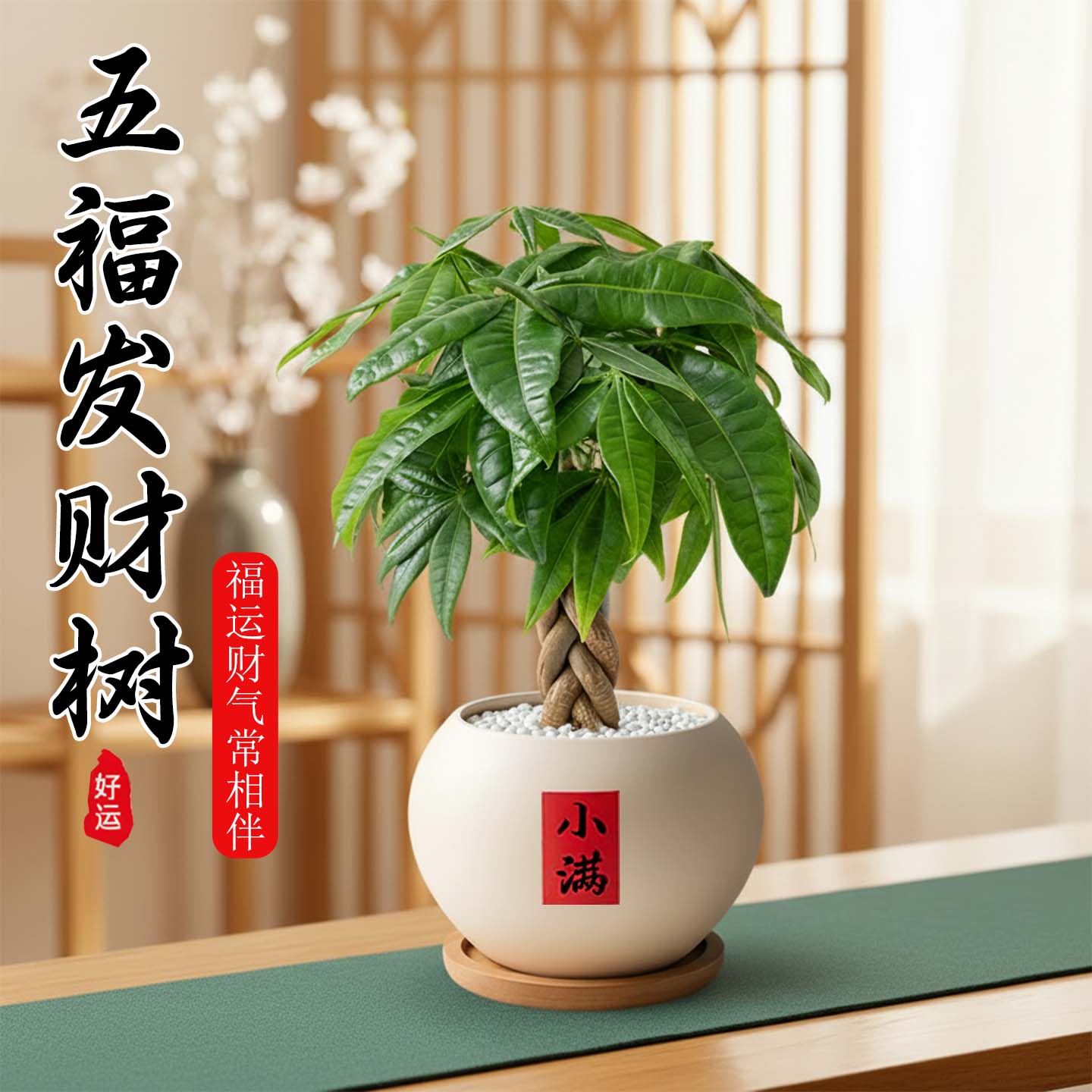 发财树五福辫子招财小盆栽室内客厅办公室装饰中式懒人好活养绿植
