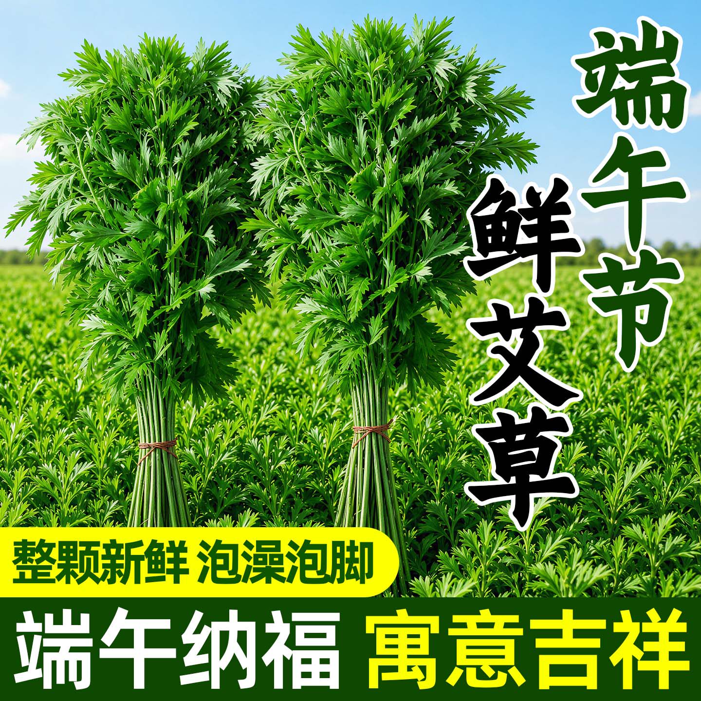 艾草新鲜艾叶端午必备整颗艾蒿可食用坐月子洗澡洗头泡脚挂门批发