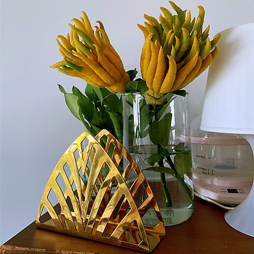 现摘金华佛手带枝水养水培佛手柑佛手果新鲜佛手瓜观赏闻香食用