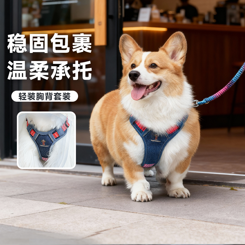 中小型犬柯基背心式防爆冲