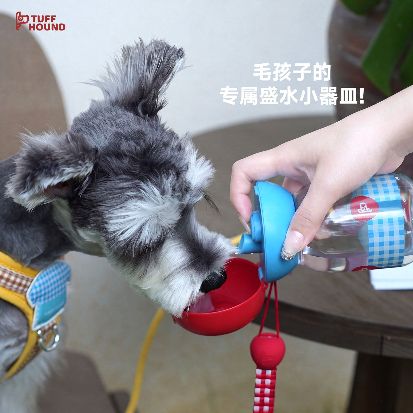 tuffhound它愿狗狗外出水杯宠物户外便携水壶小型犬出行迷你杯子