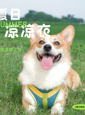 【大型犬福利】TuffHound它愿狗狗牵引绳夏季狗链子大型犬牵狗绳