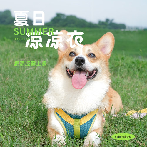 tuffhound狗狗牵引绳背心式遛狗