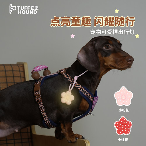它愿狗狗夜行灯长续航遛狗夜灯